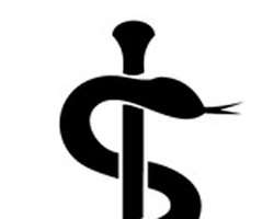 aeskulapstab